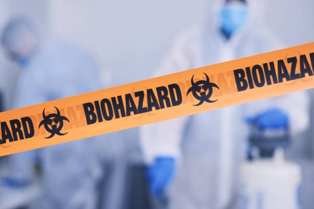 Professional Hoarding Cleanup technician working in Baldwin, MI